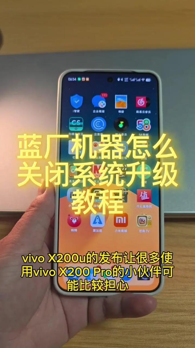vivo手机系统升级包怎么删除