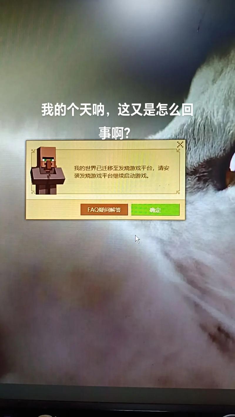 我的世界发烧游戏平台打不开