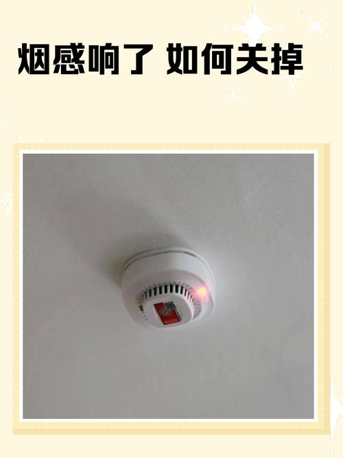 烟雾报警器报警后怎么复位游戏截图