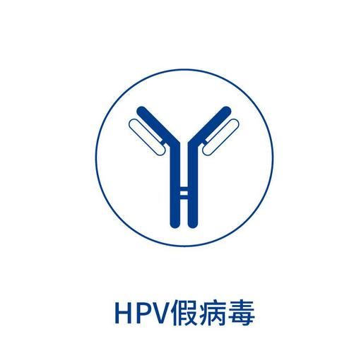 hpv16