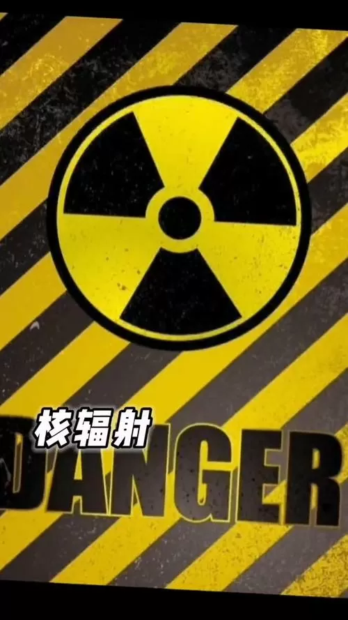 生化2无限奖励武器