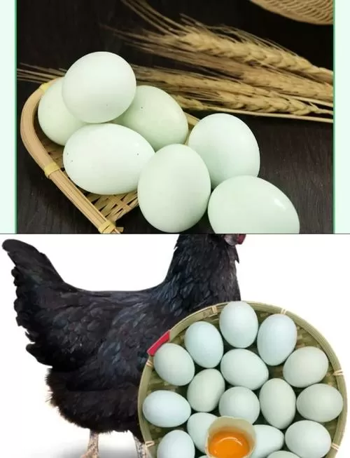 乌鸡蛋是什么颜色的