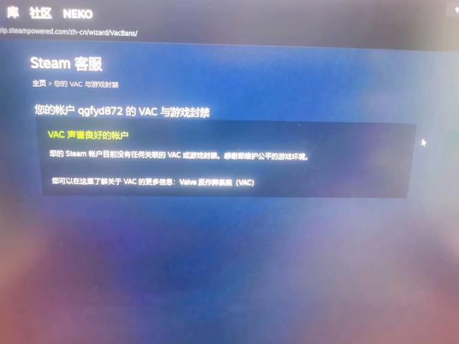 steam送好友游戏有天数限制吗