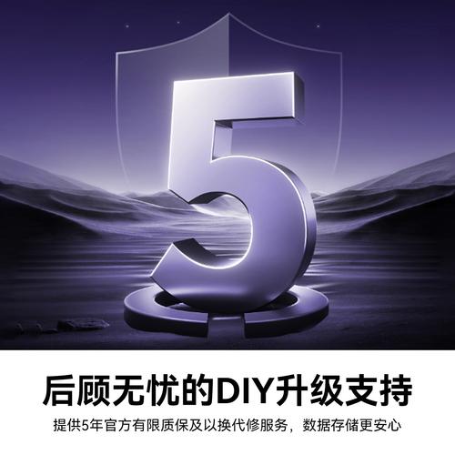 disk2.0是什么意思