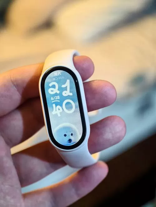 小米手环10陶瓷版有必要买吗