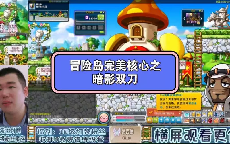 冒险岛双刀完美核心