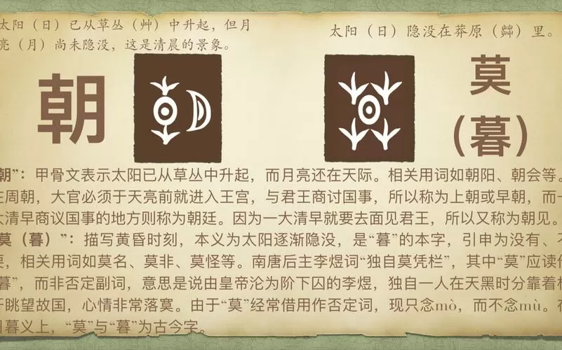 朝生暮落毒瘴怎么解