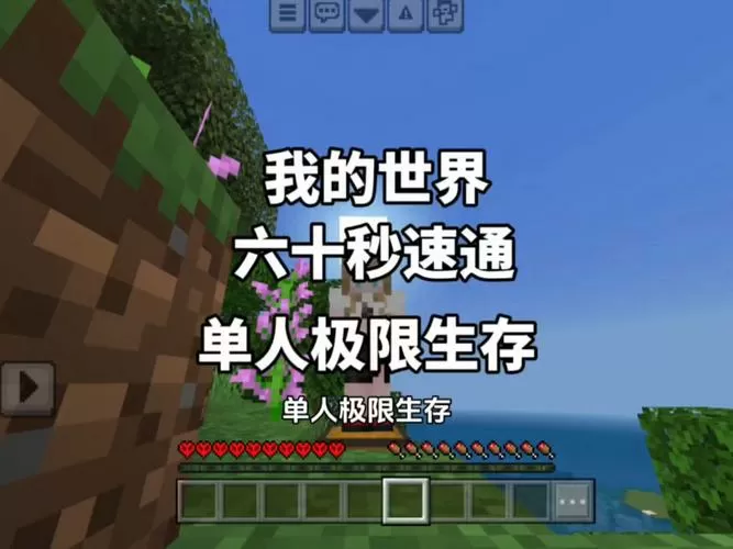 我的世界极限生存一口气看完