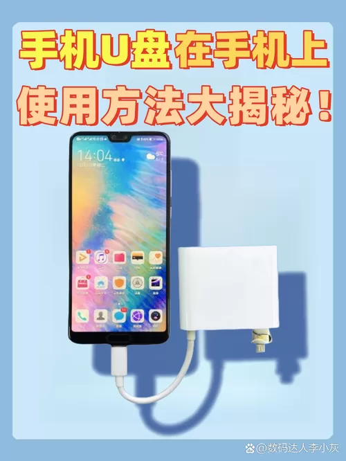 iqoo手机u盘在手机上怎么使用