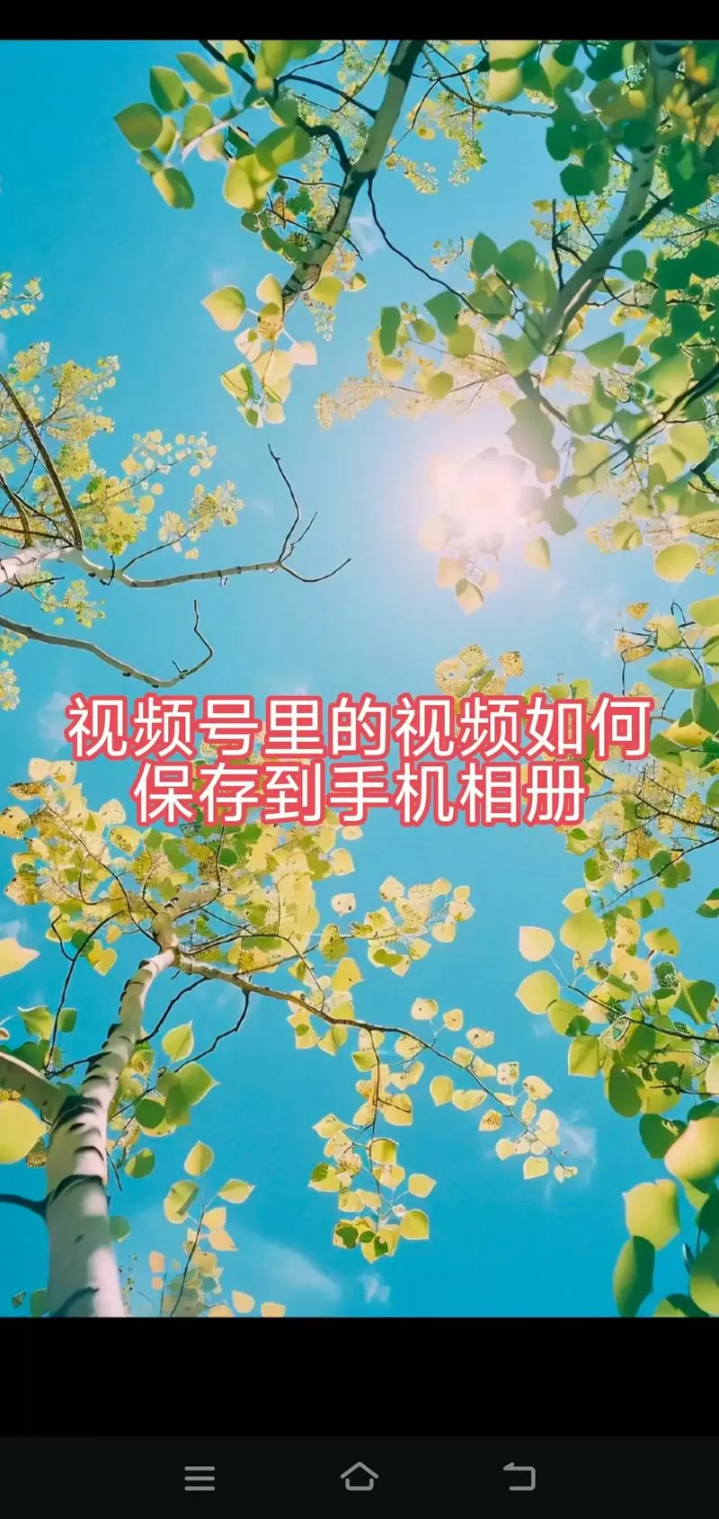 西瓜视频的视频怎么保存到相册