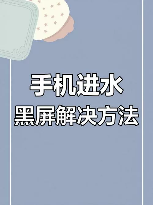 手机进水屏幕黑了但是有反应怎么了