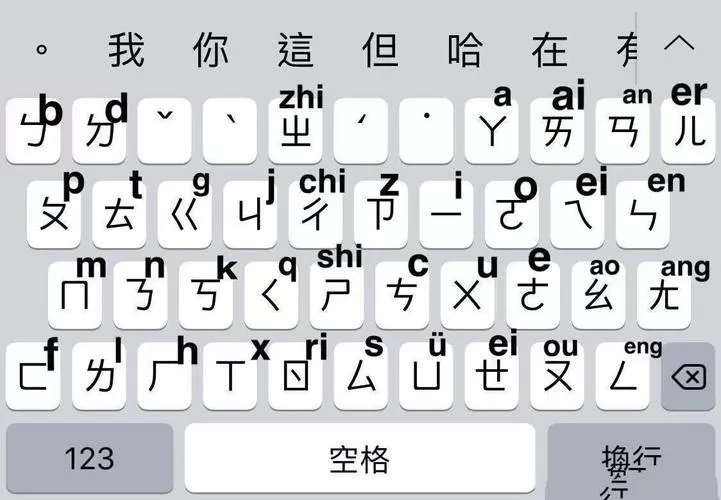 打字显示拼音的输入法