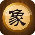真人象棋下载安装最新版截图