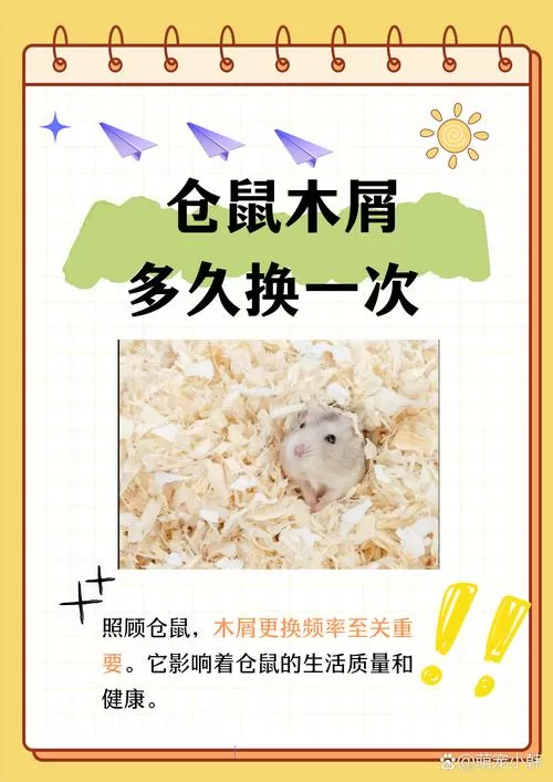 仓鼠不用木屑能活吗