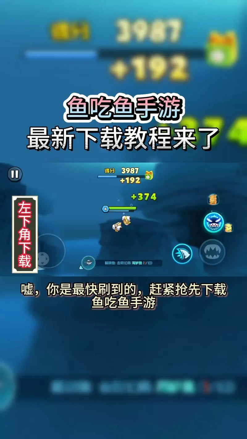 鱼吃鱼怎么升到30级