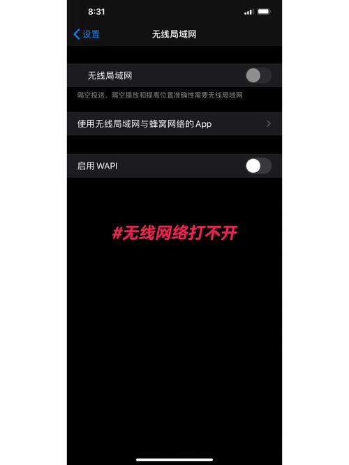 苹果手机无法打开无线网络开关