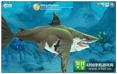 饥饿鲨世界巨齿鲨要多少金币