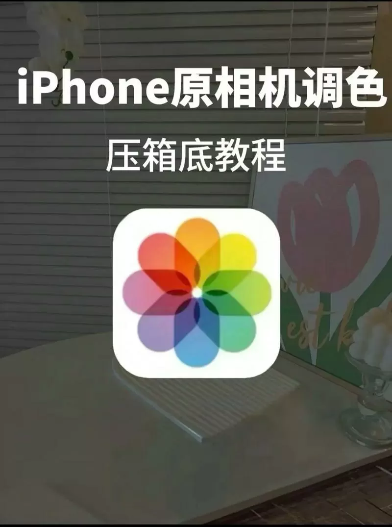 相机怎么调颜色鲜艳