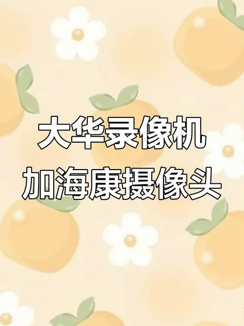 大华加海康摄像机方法