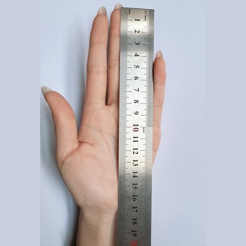 手长17厘米算大手吗