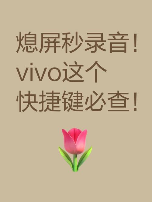 vivo手机录音快捷键怎么设置