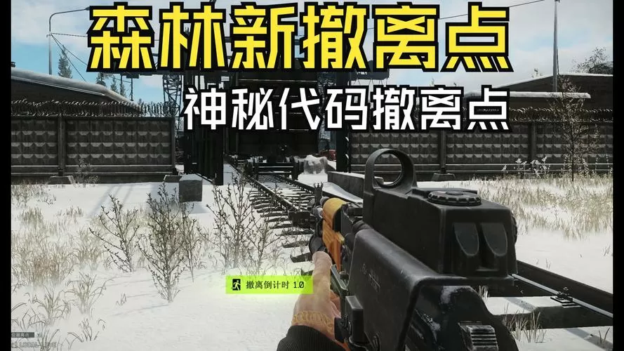 逃离塔科夫 森林 bug
