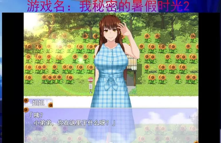 我秘密的暑假时光2手机移植