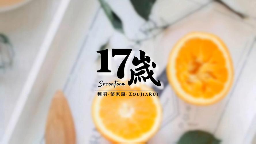 十七岁视频