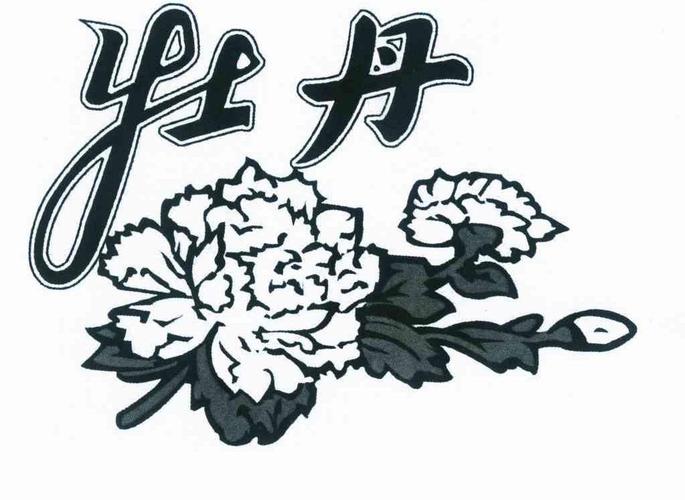 牡丹809视频
