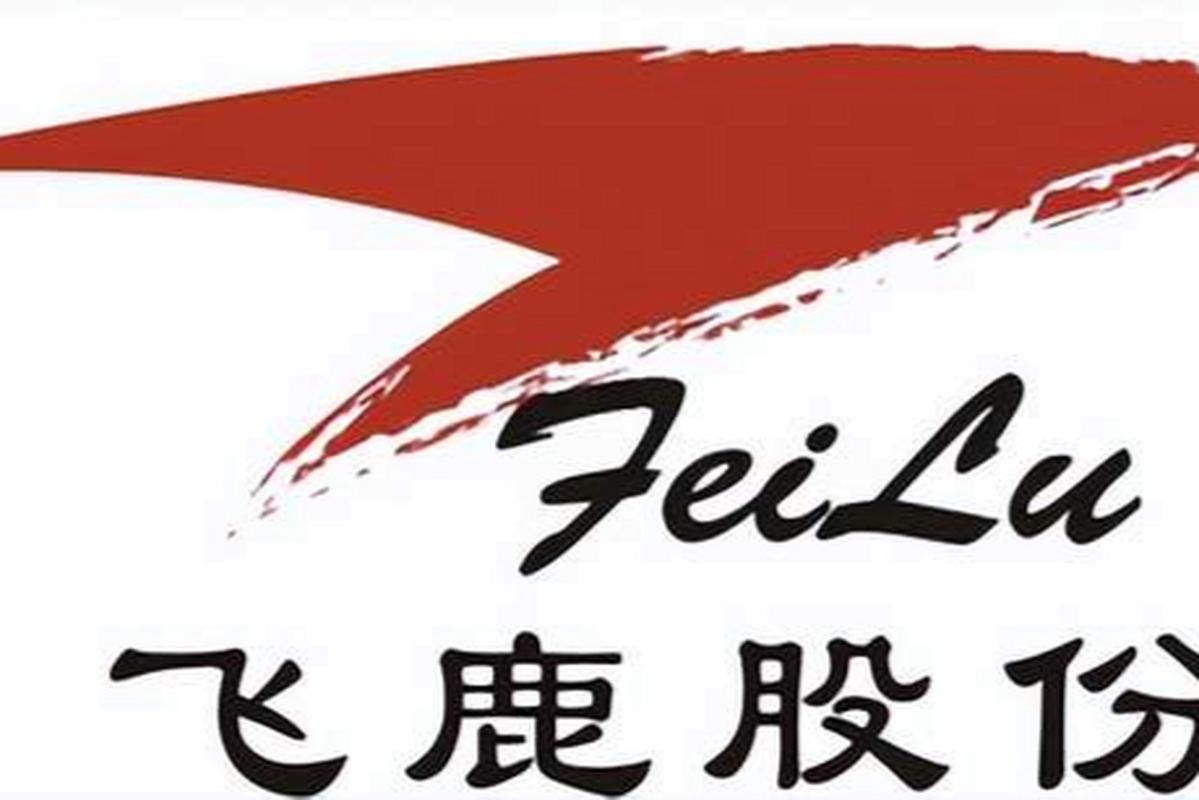 飞鹿视频