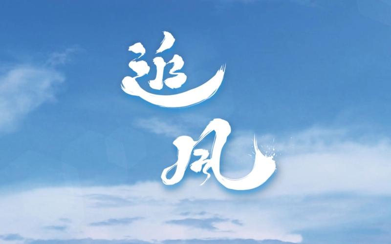 追风视频