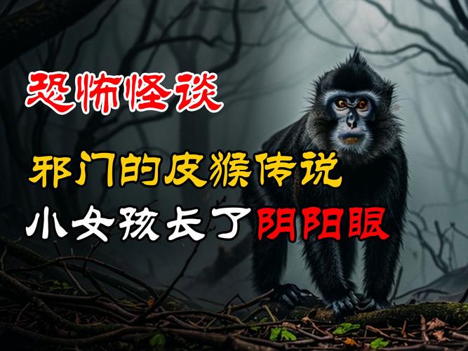 皮猴视频