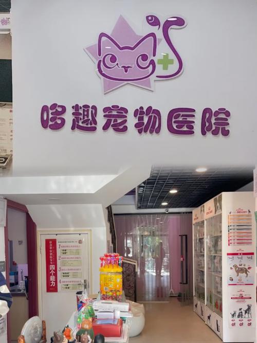 哆趣视频