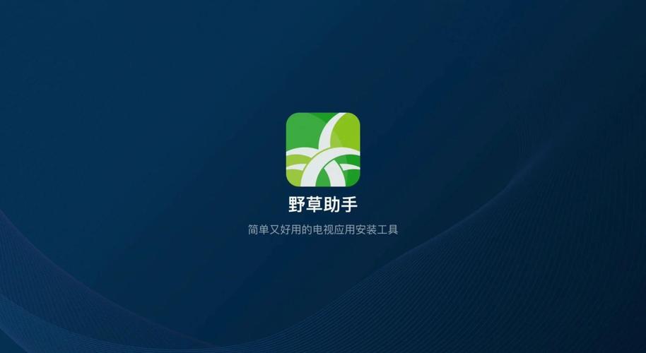 野草tv电视视频