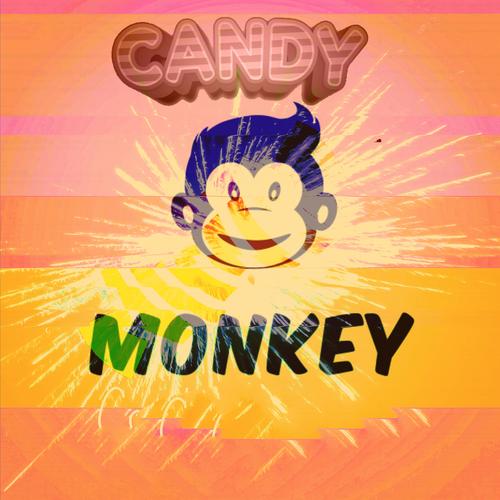 monkey视频