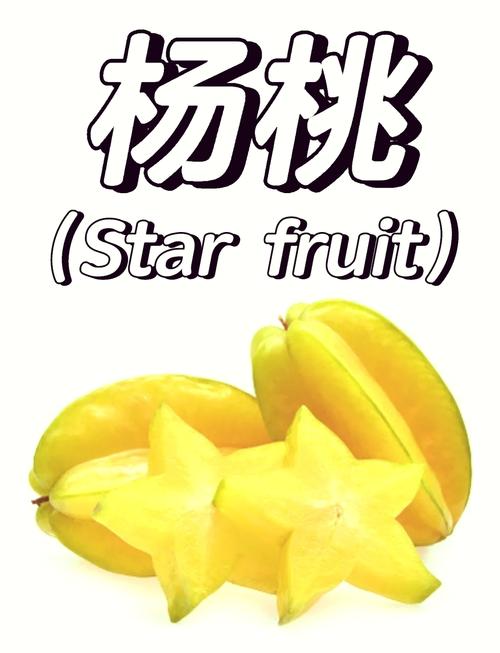 杨桃视频