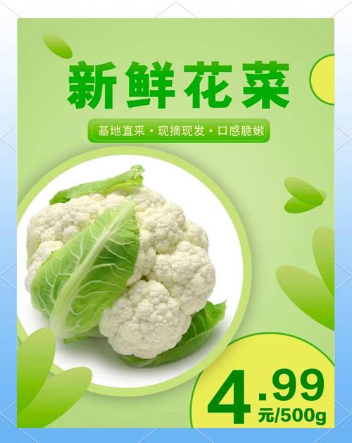 花菜资讯