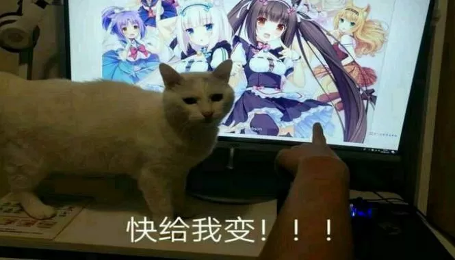 猫快给我变表情包原图图标