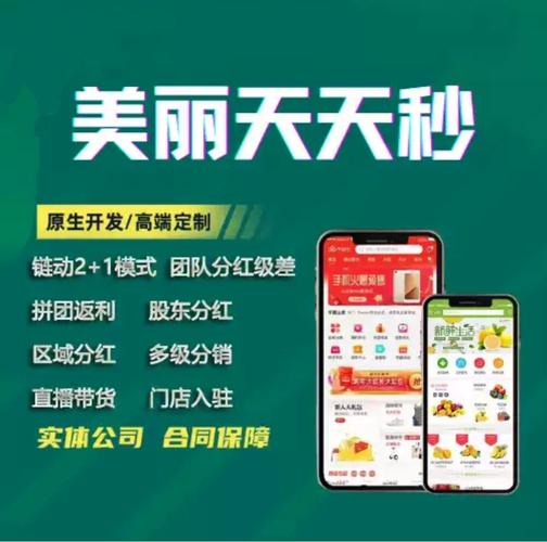 天天秒提app