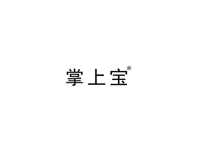 掌上宝最新版