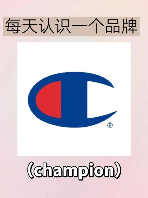 成语新冠军
