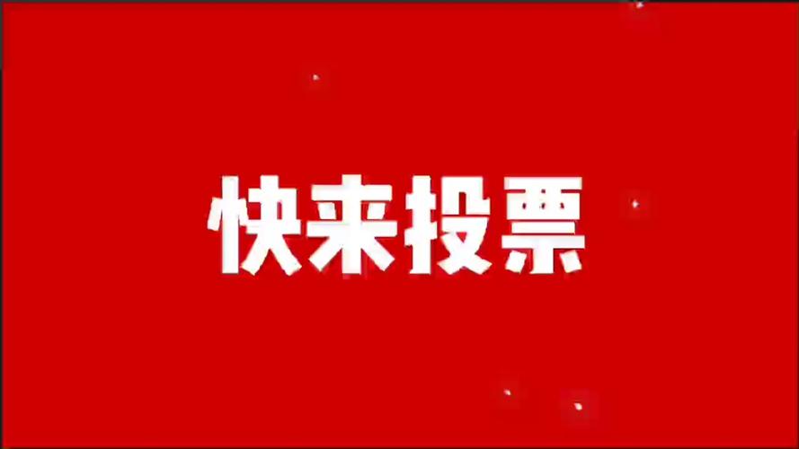 天天投票
