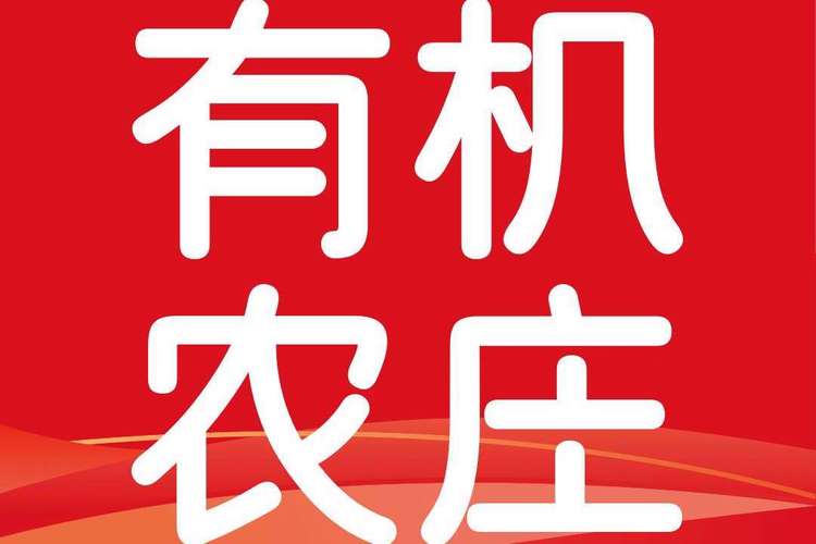 有机菜市场赚钱版2022