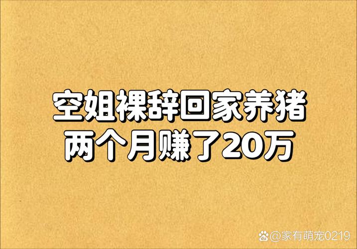 辞职去养猪红包版