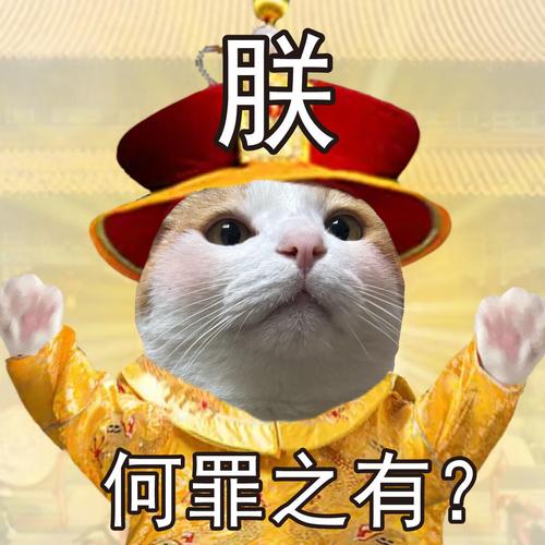 皇上不要啊领红包