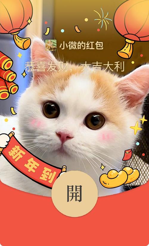 养只猫咪红包版