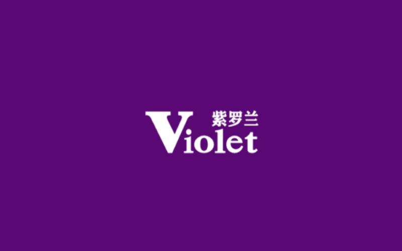 紫罗兰