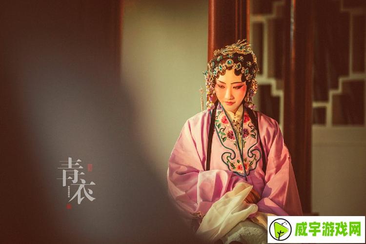 青衣软件库