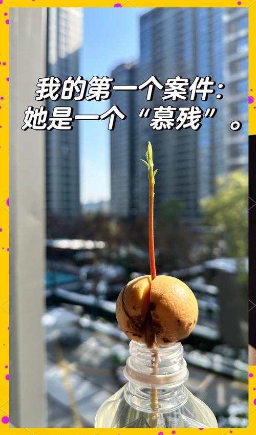 慕残文学网手机版