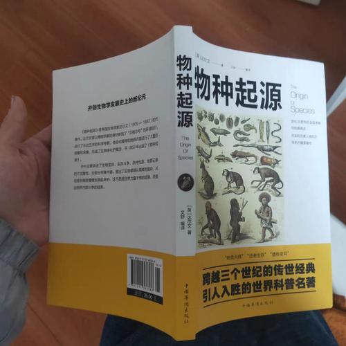 物种起源13